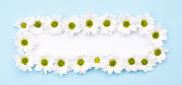 On a blue background is a rectangular frame of flowers. postcard, greetings card.