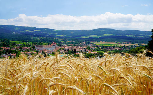 Scenic view of agricultural field against sky