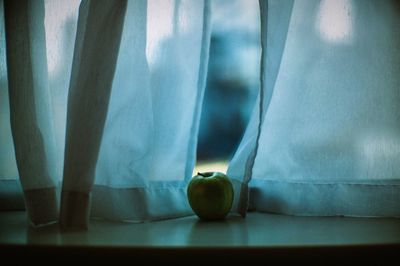 Close-up of granny smith apple on window sill