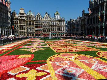 Flower carpet with grand place in background