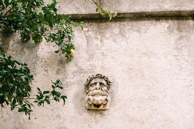 Cat statue against wall