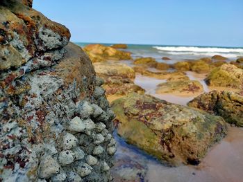 Close-up of rocks on beach against sky