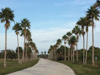 Empty road with trees in background