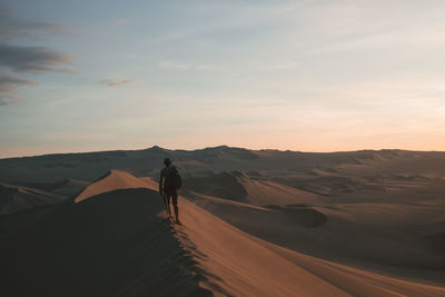 Rear view of man riding on desert