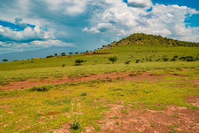 Savannah grassland landscapes against mountains in the ngorongoro conservation area, tanzania
