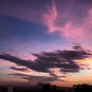 Low angle view of silhouette trees against sky at sunset