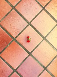 High angle view of paving stone