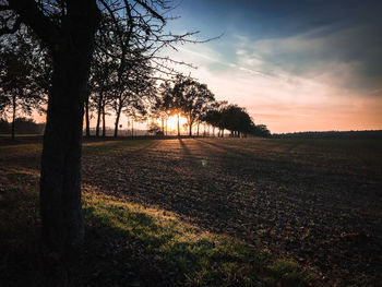 Silhouette trees on field against sky during sunset