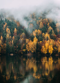 Scenic view of lake in forest during autumn