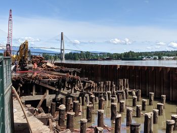 Exposed wooden pilings from new westminster's historic river market are uncovered for construction.