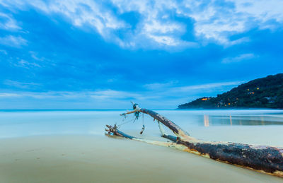 Driftwood on beach against sky