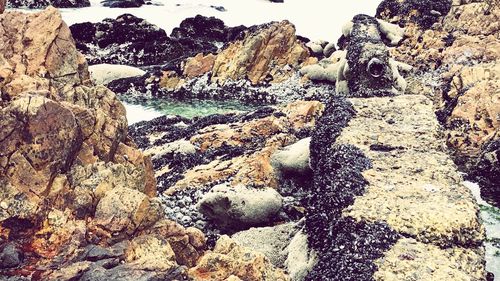 View of rocks on beach