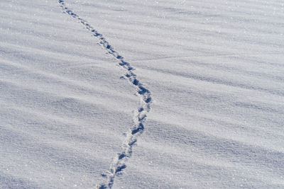 High angle view of footprints on snowy field