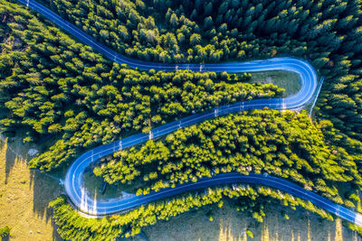 Aerial view of winding road