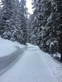 Snow covered road amidst trees during winter