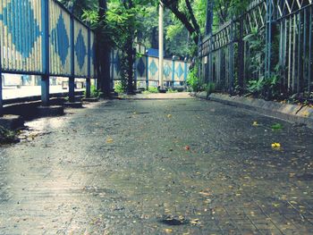 Footpath amidst trees and fence in park