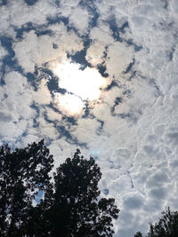 Low angle view of tree against sky