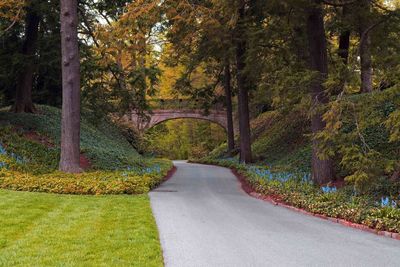Footpath in park