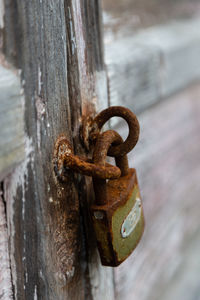 Close-up of rusty metal on wood