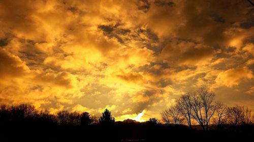 Low angle view of silhouette trees against sunset sky