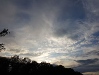 Low angle view of silhouette trees against sky