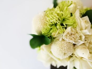 Close-up of white flowers