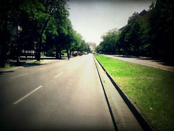 Empty road along trees