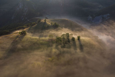 Scenic view of landscape during foggy weather