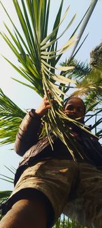 Low angle view of palm tree against sky