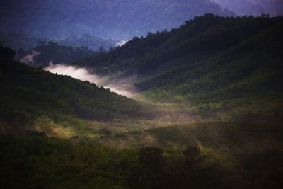 Scenic view of landscape against sky at night