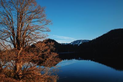 Scenic view of lake against clear blue sky