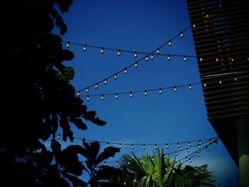 Low angle view of tree against blue sky