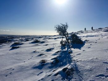 Scenic view of snow covered land against clear sky