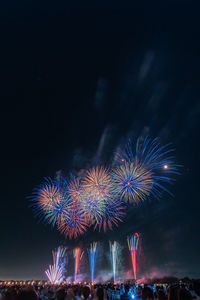 Low angle view of firework display at night