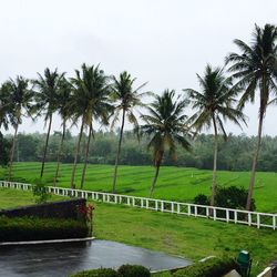 Scenic view of grassy field against sky