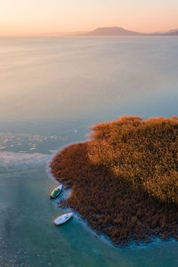 Aerial shot of boats and reed