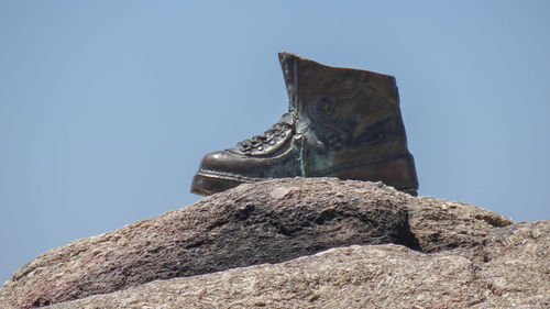 Low angle view of animal on rock against clear sky