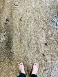 Low section of man standing on beach