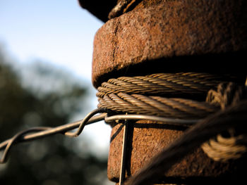 Close-up of rope tied on rusty metal