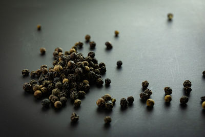 Black pepper seed