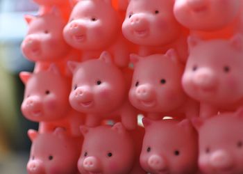 Close-up of stuffed toys