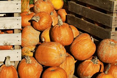 High angle view of pumpkins for sale at market