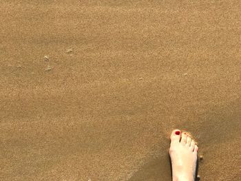 Low section of woman on sand