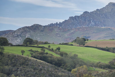 Scenic view of landscape against sky