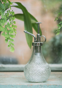 Close-up of potted plant on table