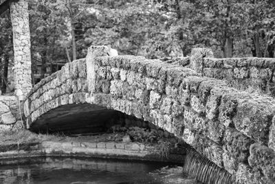 Stone bridge over river by trees