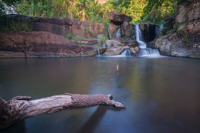 Scenic view of waterfall in forest