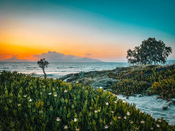 Scenic view of sea against sky during sunset