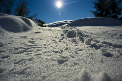 Surface level of snow covered land