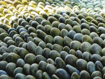 Full frame shot of pattern